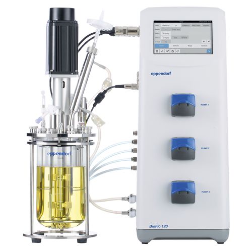 Fermentation vessel BioFlo® 120 seriesfor bioreactorfor laboratories
