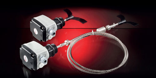 Поворотный лопастной переключатель уровня серии RL-A для сыпучих материаловATEXIP66