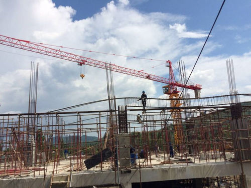 Стационарный кран SYT160(T7015-10)башенныйдля строительного подъема