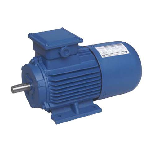 Двигатель постоянного тока асинхронный100 VIP54