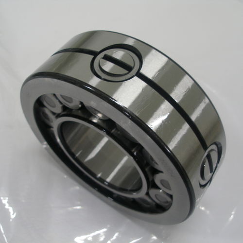 Цилиндрический роликоподшипник серии SL 19, однорядный, со стальным сепаратором в сборе