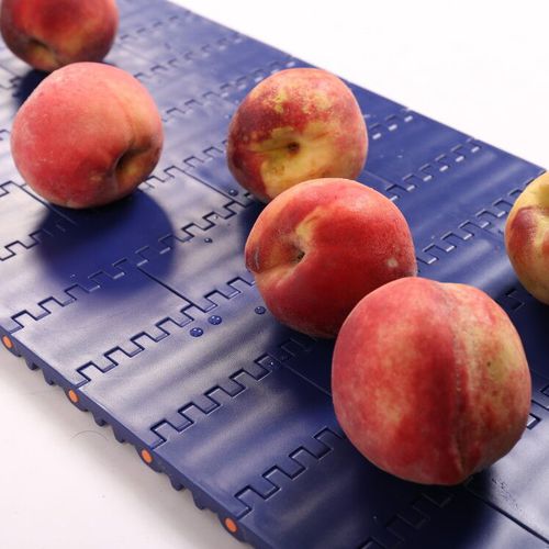 Modular conveyor belt HS-100A 50.8mm picthPOMPPPE