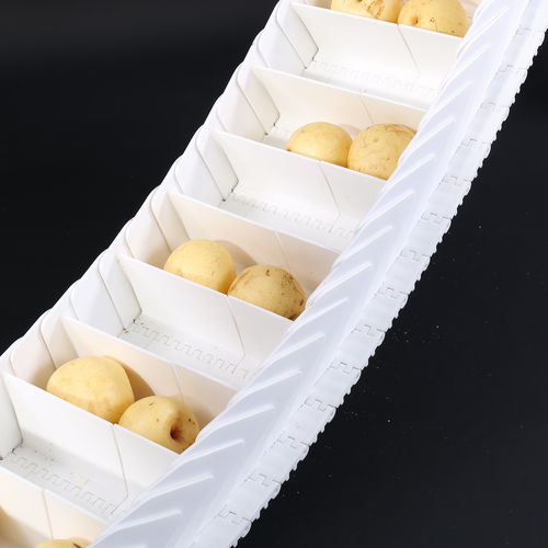 Modular conveyor belt HS-100A /50.8MM pitchPOMPPPA