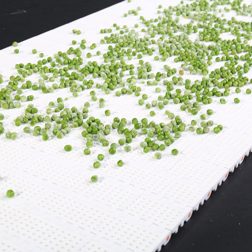 POM conveyor belt HS-101B/ 50.8MM picthPPPAPE