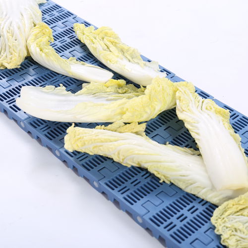 Modular conveyor belt HS-102B/ 50.8mm picthPOMPPPA