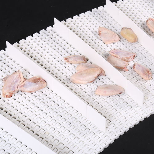 Modular conveyor belt HS-500B / 25mm pitchcurvedPOMPP