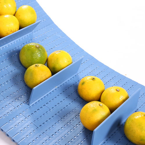 Perforated conveyor belt HS-1100A /15.2MM pitchPOMPPPA