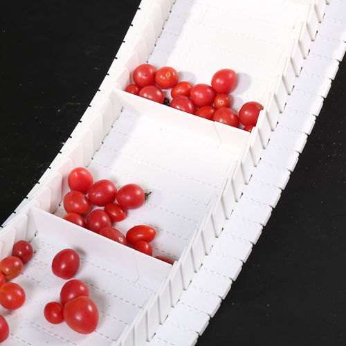 Modular conveyor belt HS-700A-N 27.2mm pitchPOMPPPA