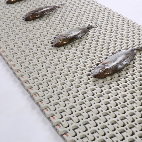 Flexible conveyor belt HS-501B, 25.4mm pitchmodularPOMPP