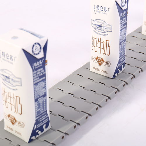 Modular conveyor belt HS-502A-83GB /25mm picthPOMPPPA