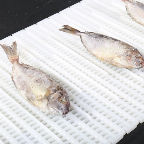 Modular conveyor belt HS-700B-NPOMPPPA