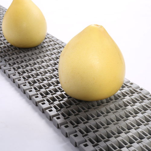 Modular conveyor belt HS-1700B/38.1mm picthPOMPPPA