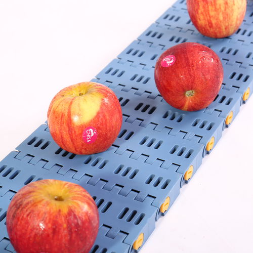 Modular conveyor belt HS-1600B/50.8mm picthPOMPPPA