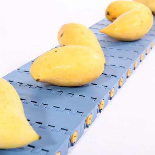 Modular conveyor belt HS-1600A/50.8mm picthPOMPPPA