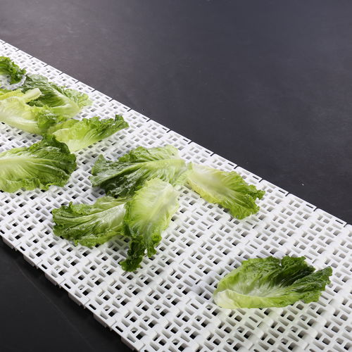 Modular conveyor belt HS-900B / 50.8mm picthPOMPPPA