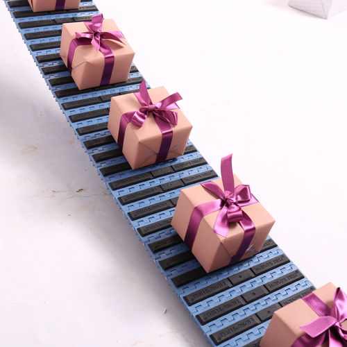 Modular conveyor belt HS-200EL/25.4mm picthPOMPPPA