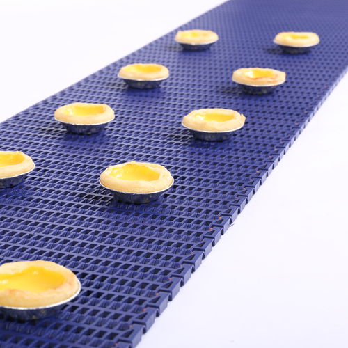 Modular conveyor belt HS-700BPOMPPPA