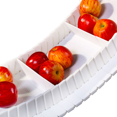 Perforated conveyor belt HS-700A-N+side wall +cleatPOMPPnylon