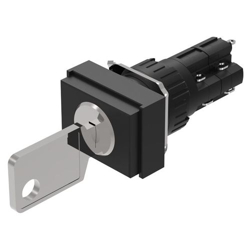 Выключатель с ключом 51-396.025D2многополюсныйIP65AC