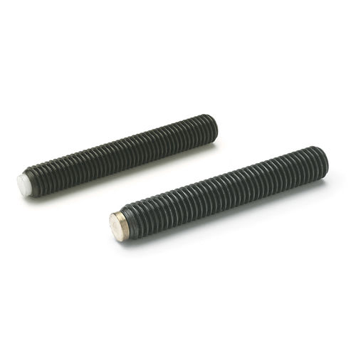 Установочный винт GN 913.3