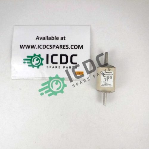 БУССМАН - 170M3819 - Предохранитель