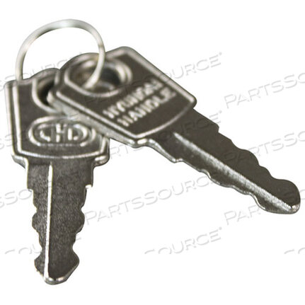 OEM#: 3000000002KEYS (PAIR) by Turbo Air Inc