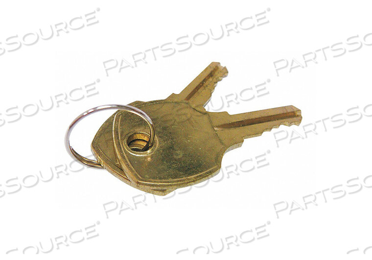 OEM#: 831306KEY, C415A, (SET OF 2) TS, TDD-1/2/3/4 by True Food Service Equipment