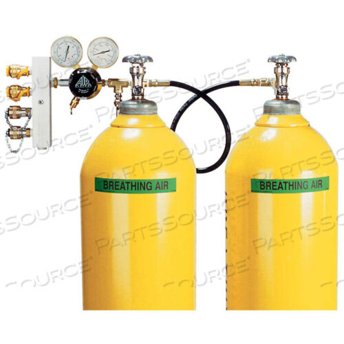 OEM#: CBA2-346NB-HANSEN2-CYLINDER BREATHING AIR CASCADE ASSEMBLY, 3000 PSI, HANSEN, CBA2-346NB by Air Systems International