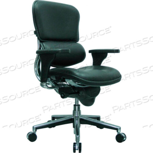 OEM#: LE10ERGLO(N)EUROTECH ERGOHUMAN MID BACK CHAIR - - BLACK LEATHER by Raynor Marketing