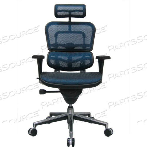 OEM#: ME7ERG-BLUE(N)EUROTECH ERGOHUMAN EXECUTIVE HIGH BACK CHAIR - - BLUE MESH by Raynor Marketing