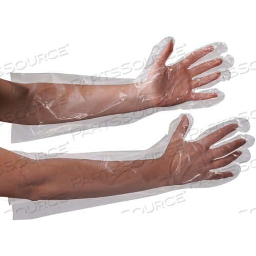 OEM#: GLV2221POLY GLOVES, ELBOW LENGTH, 18, CLEAR, 100/CASE by BOX Partners (Box Acquisitions, LLC)