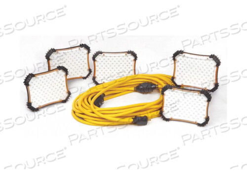 OEM#: 9713550 18/2 SJTW LED STRING LIGHT, 5 LIGHTS by CEP