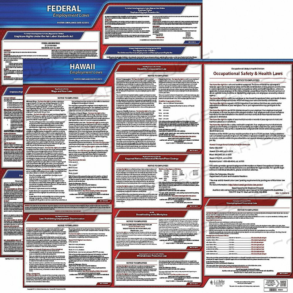 OEM#: 100-HI-3LABORLAW POSTER FED/STA HI ENG 20INH 3YR by J.J. Keller & Associates