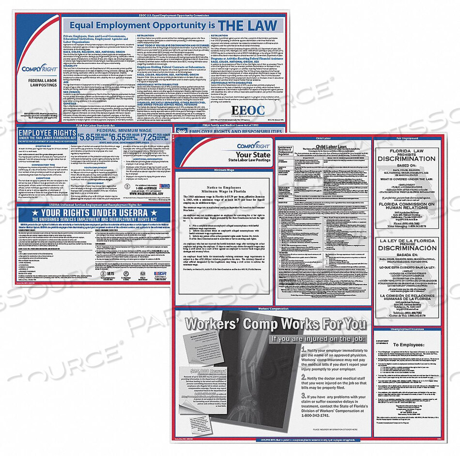 OEM#: EFEDSTCRPSECSDLABOR LAW POSTER KIT SD ENGLISH 2-1/2INW от Complyright