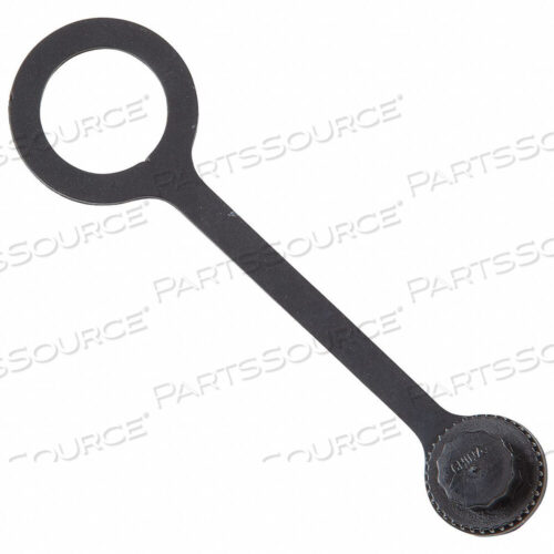 OEM#: RK-TC-P PLASTCI CAP TETHER 1/8 1/4 NPTCAP TETHER 1/8 ДО 1/4 ИСПОЛЬЗУЕТСЯ С WATTS RK-TCP от Watts Regulator Co.