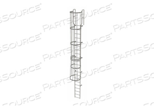 OEM#: WLFC122121 STEP STEEL CAGED WALK THROUGH FIXED ACCESS LADDER, GRAY by Tri-Arc