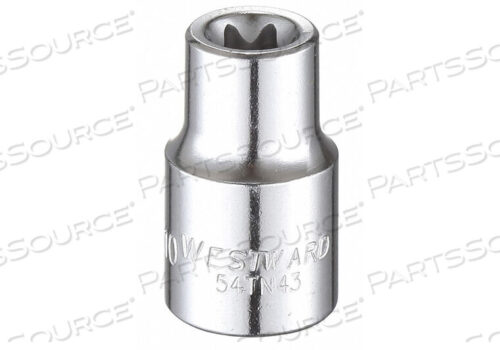 OEM#: 54TN43НАСАДКА TORX(R) E-10 НАКОНЕЧНИК 1-1/4 L от Westward