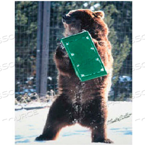 КОРОБКА ДЛЯ МЕДВЕДЕЙ, НАБОР ИЗ 2 ШТ., ЗЕЛЕНАЯ