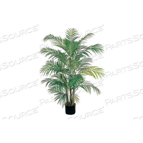 4 АРЕКА ШЕЛКОВАЯ ПАЛЬМА