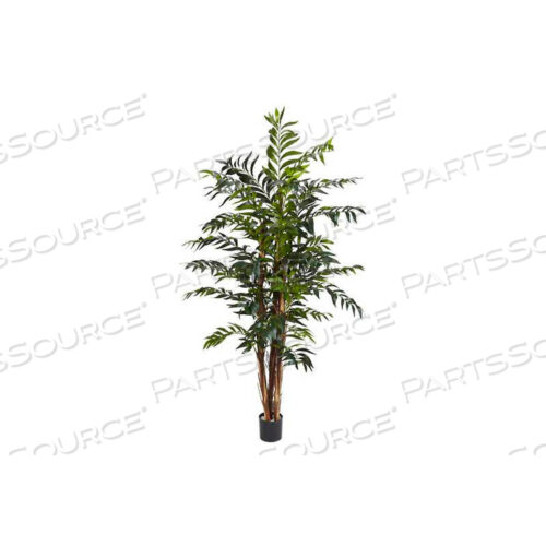 5 БАМБУКОВАЯ ПАЛЬМА ШЕЛКОВОЕ ДЕРЕВО, ЗЕЛЕНОЕ
