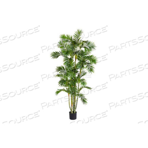 6 АРЕКОВАЯ ПАЛЬМА ШЕЛКОВОГО ДЕРЕВА С КРУГЛЫМ ГОРШКОМ