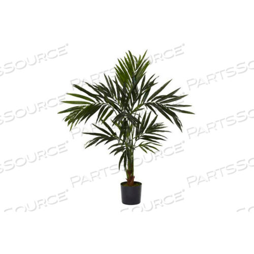 5 КЕНТИЯ ШЕЛКОВОЕ ДЕРЕВО