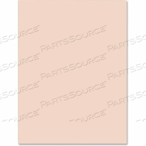 OEM#: 5120HEAVYWEIGHT TAGBOARD, 18W X 24H, MANILA, 100/PACK by Pacon
