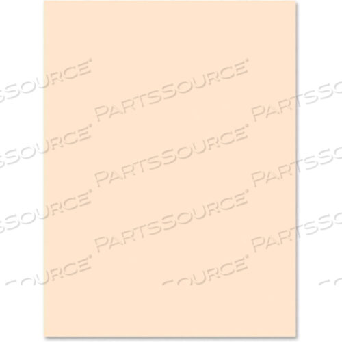 СРЕДНИЙ ВЕСА ЩИТОК ДЛЯ БИРОК, 18 Ш X 24 В, МАНИЛА, 100 ШТ./УПАКОВКА