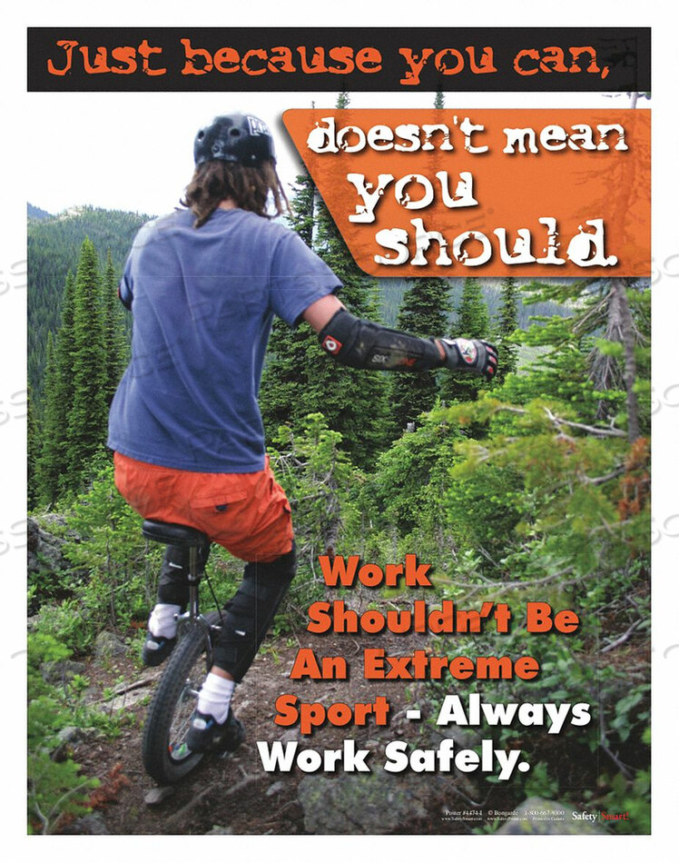 OEM#: P4474SAFETY POSTER JUST BECAUSE YOU CAN ENG by SafetyPoster