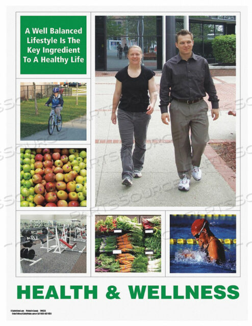 OEM#: SW0226SAFETY PSTR СБАЛАНСИРОВАННЫЙ ОБРАЗ ЖИЗНИ RU от SafetyPoster