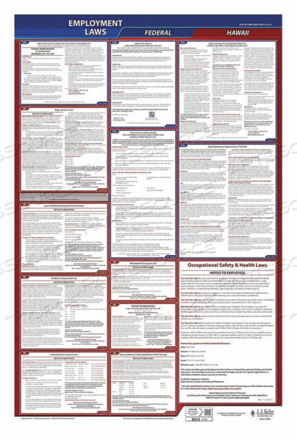 OEM#: 300-HI-1LABORLAW ПЛАКАТ FED/STA HI ENG 26INH 1YR от J.J. Keller & Associates