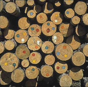 OEM#: FACAPPLICATOR FELT от Nelson Paint