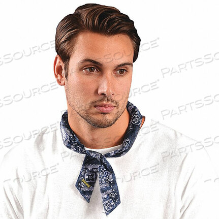 OEM#: 33TZ04COOLING BANDANA COWBOY BLUE UNIVERSAL от Condor