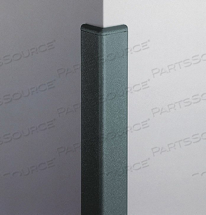 OEM#: CG-20R-4-377CORNER GRD 2IN.W TEAL 2 SIDES от Pawling Corp